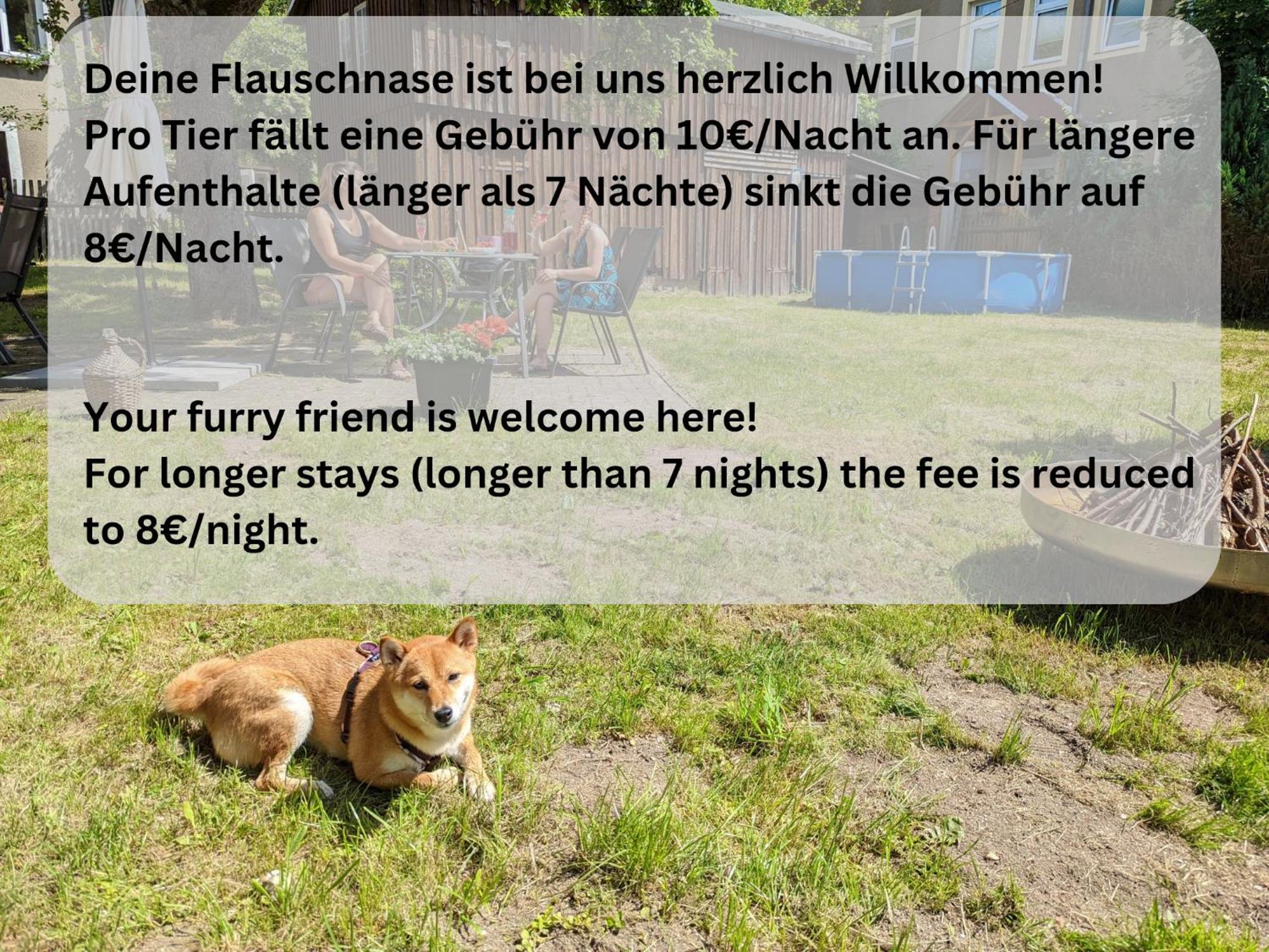 H1 - Urlaubsmagie - Pool & Terrasse Zum Entspannen Sebnitz Luaran gambar